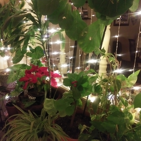 Meet your Posher, Carlos rodriguez - Picture 3 of 7